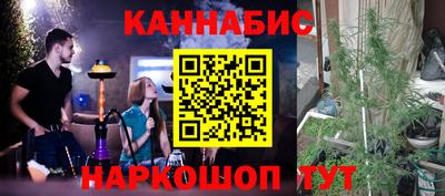 индика Пушкино